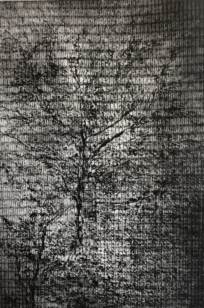 "Gekooid" - Peter Schanzleh